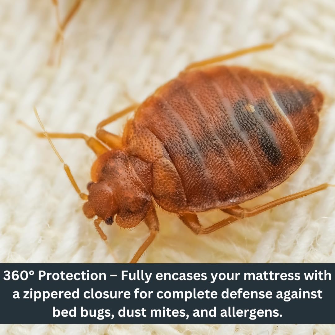 Zippered Waterproof Mattress Protector – 6-Sided Encasement, Bed Bug & Dust Mite Proof, 12” Deep Cover for Full Protection (Queen)