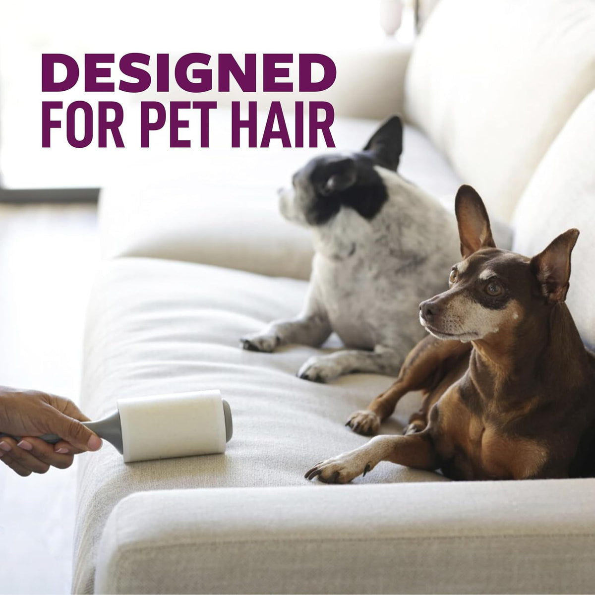 Scotch-Brite Pet Hair Extra Sticky Lint Roller,140 Sheets Total, 2 Pack