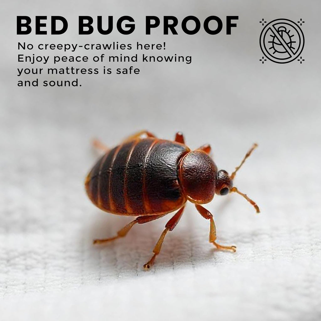 Waterproof Zippered Mattress Protector Queen Size, 12" Deep Pocket