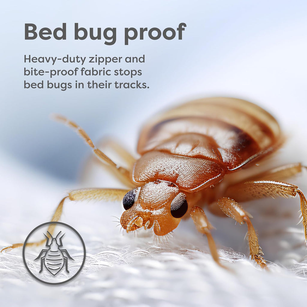 HOSPITOLOGY PRODUCTS Mattress Encasement - Zippered Bed Bug Dust Mite Proof Hypoallergenic - Sleep Defense System - Queen - Waterproof - Stretchable - Standard 12" Depth - 60" W x 80" L
