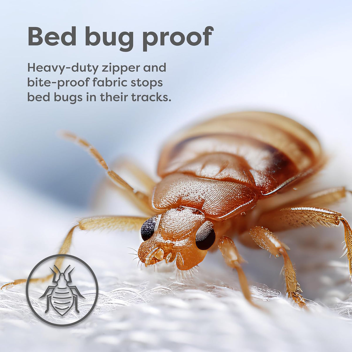 HOSPITOLOGY PRODUCTS Mattress Encasement - Zippered Bed Bug Dust Mite Proof Hypoallergenic - Sleep Defense System - Queen - Waterproof - Stretchable - Standard 12" Depth - 60" W x 80" L