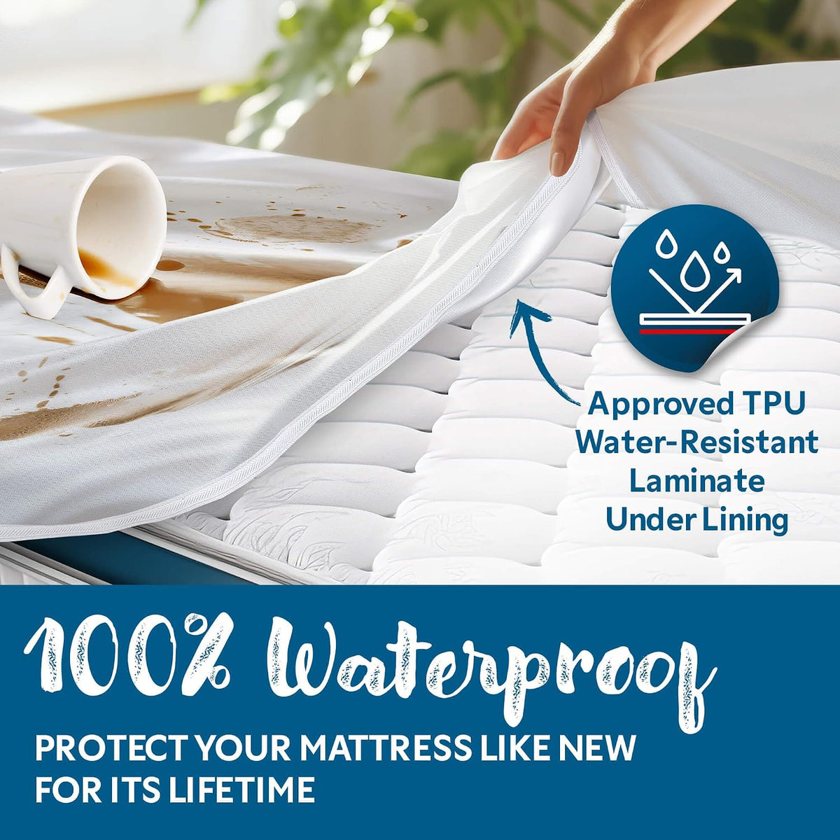 Guardmax Queen Mattress Protector Zippered, Bed Bug Mattress Cover