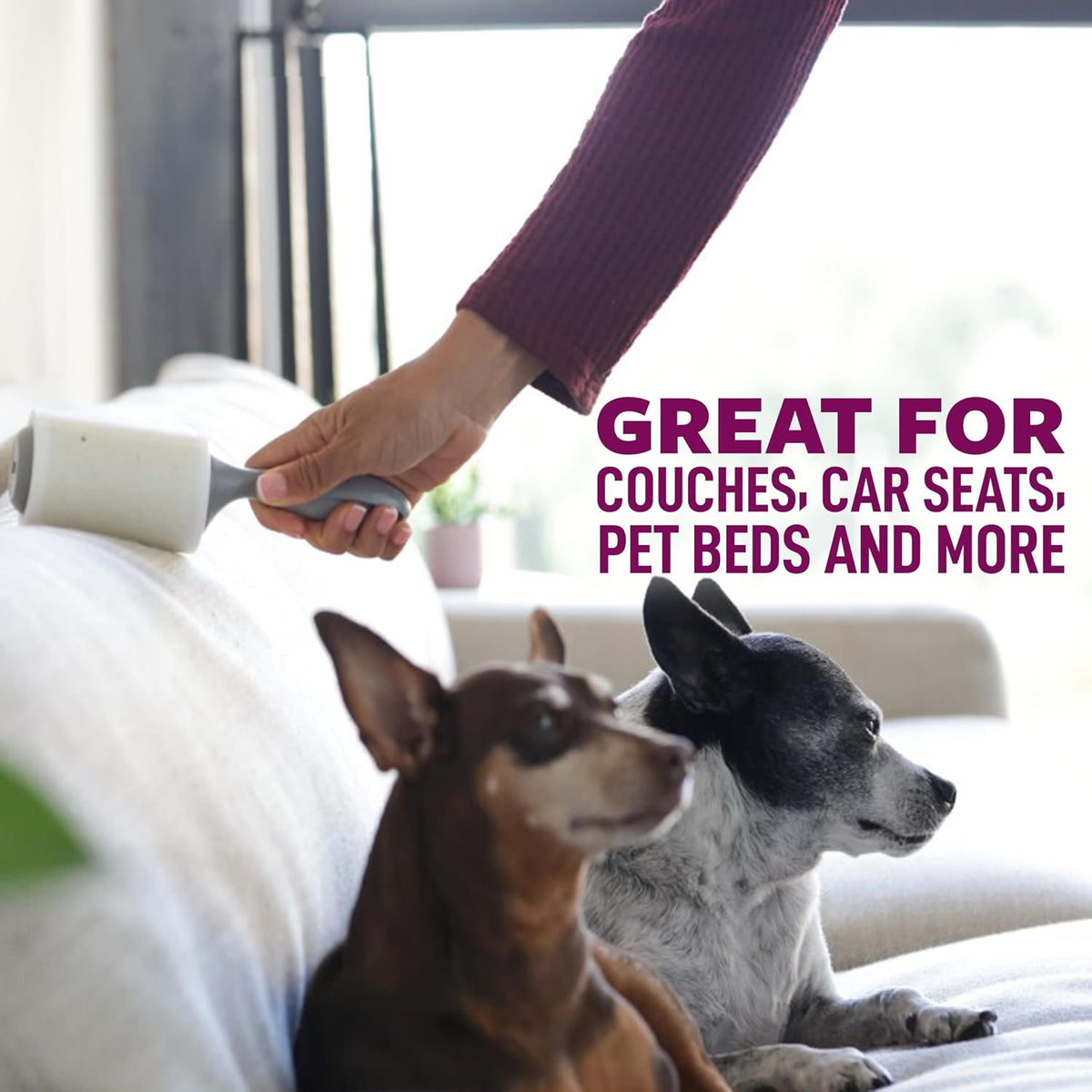 Scotch-Brite Pet Hair Extra Sticky Lint Roller,200 Sheets Total, 2 Pack