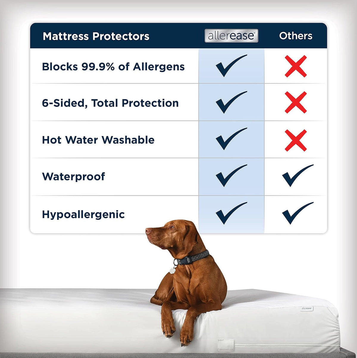 AllerEase Waterproof Mattress Protector Stain Protection Queen Size Allergen Barrier Hot Water Washable Machine Washable Durable Zippered Knit Mattress Cover Stretch Corners (White)